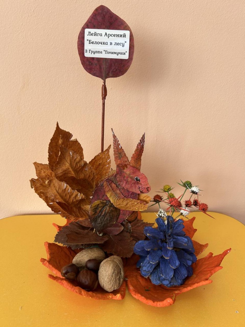 Белочка в лесу