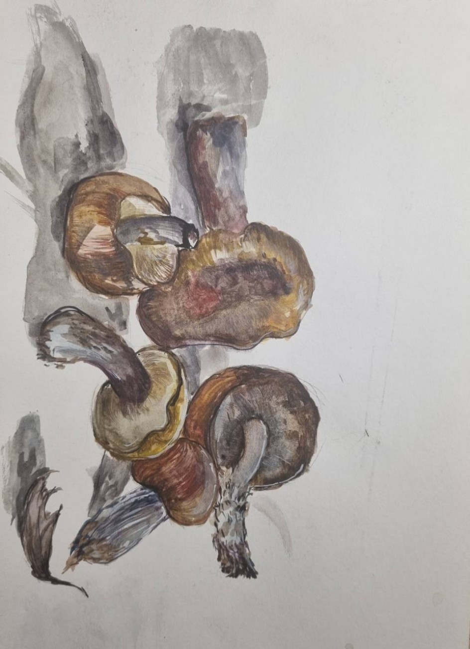 грибное дыхание