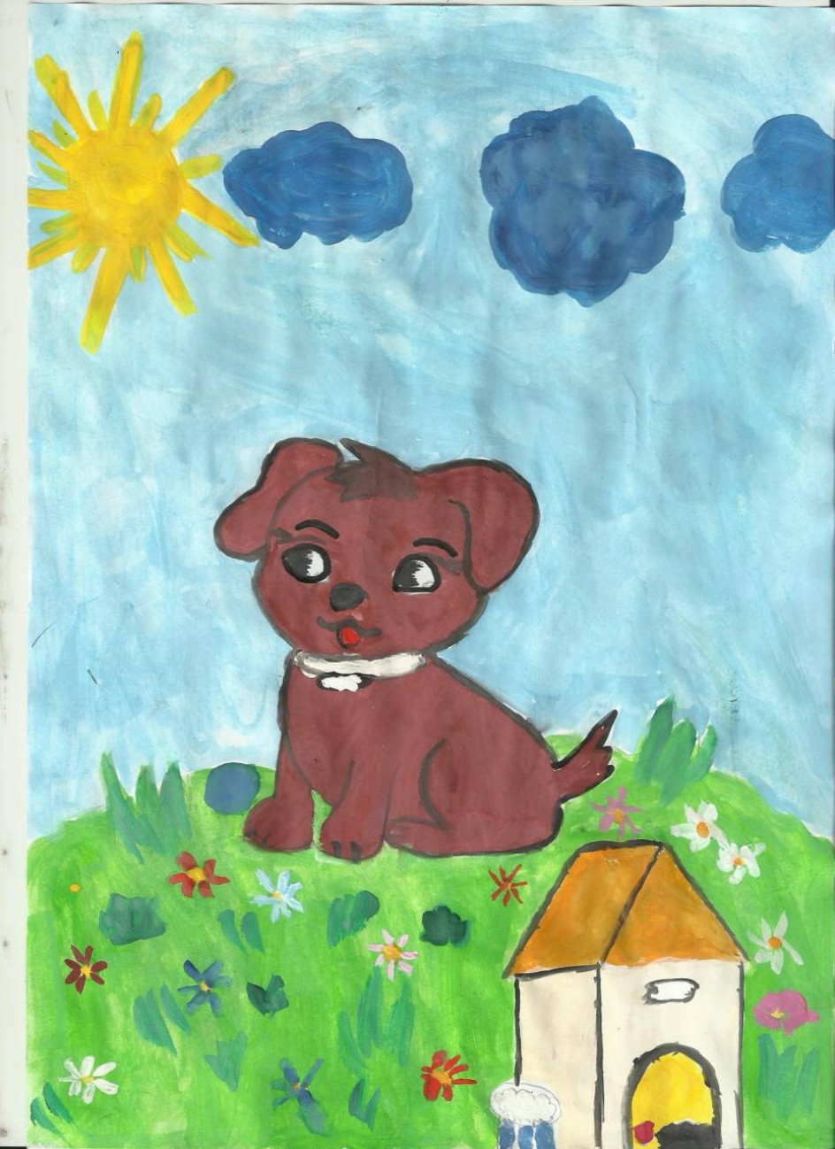 Собака Шоколадка