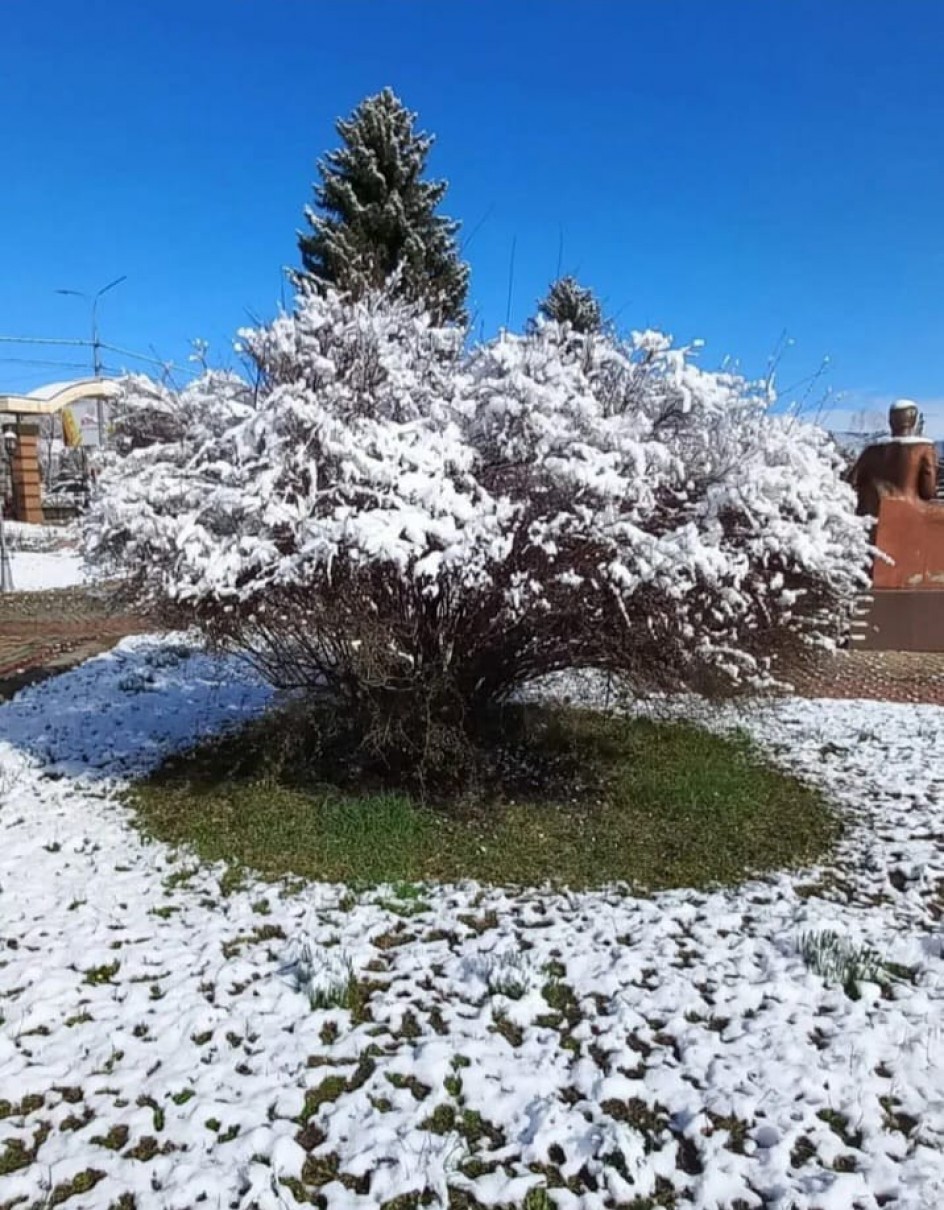 Первый снег