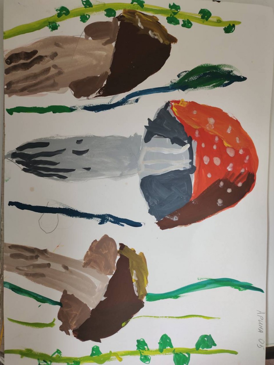 Лесной урожай