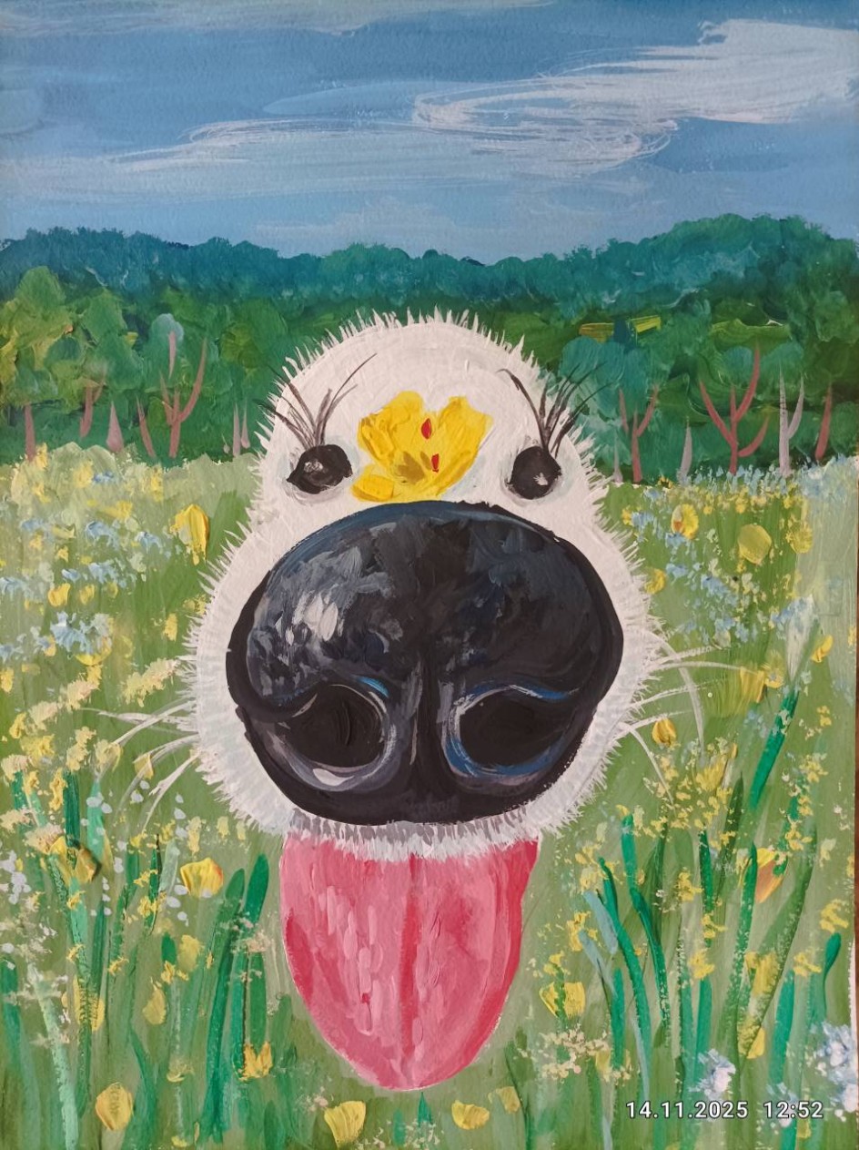 На поляне с собакой