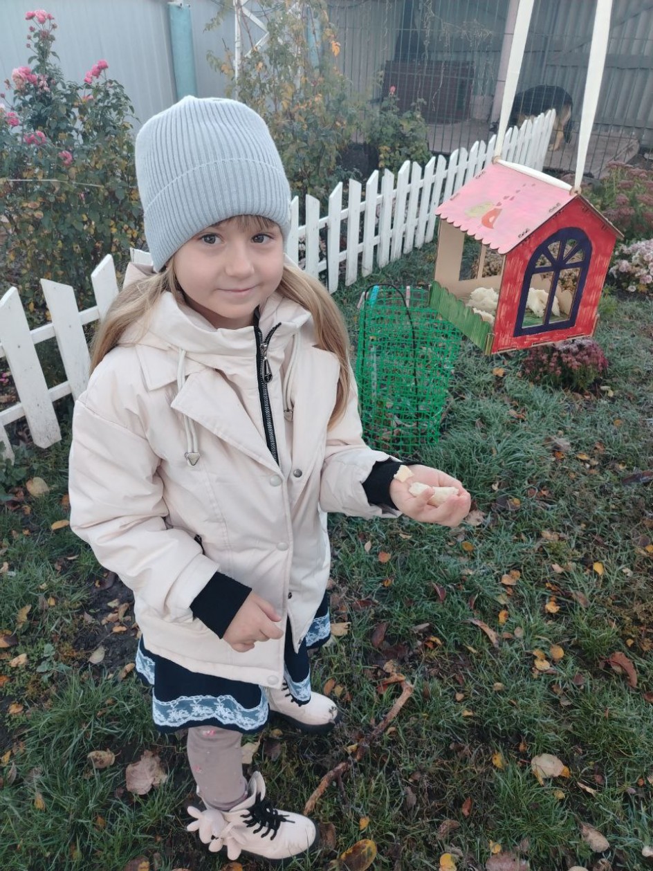 "Забота о птицах"