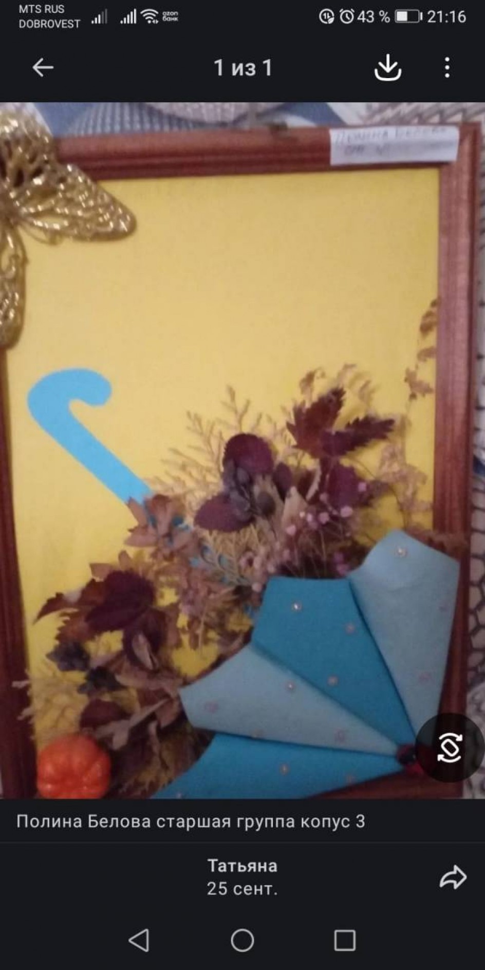 Осенний зонтик