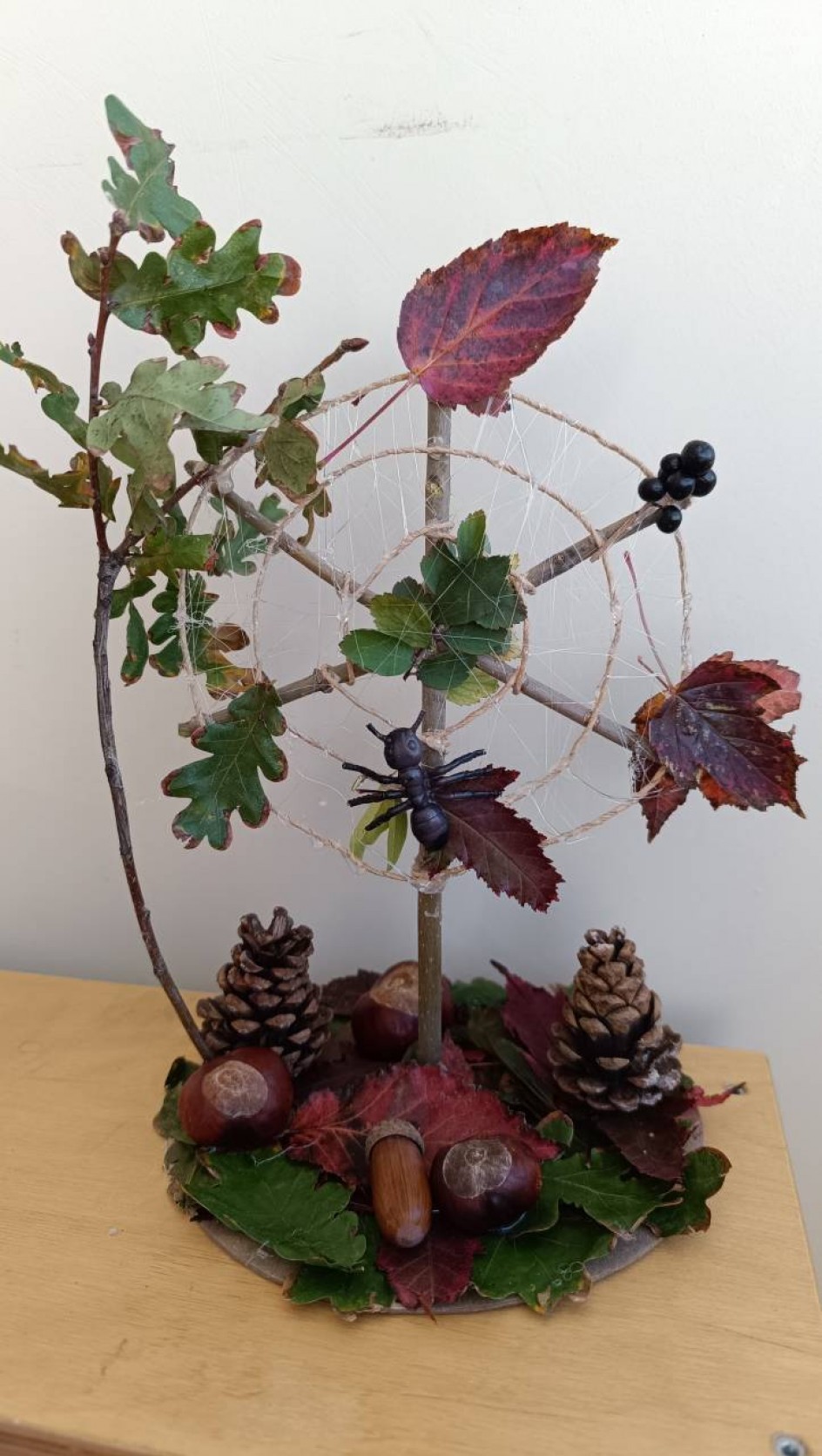 В гостях у паука