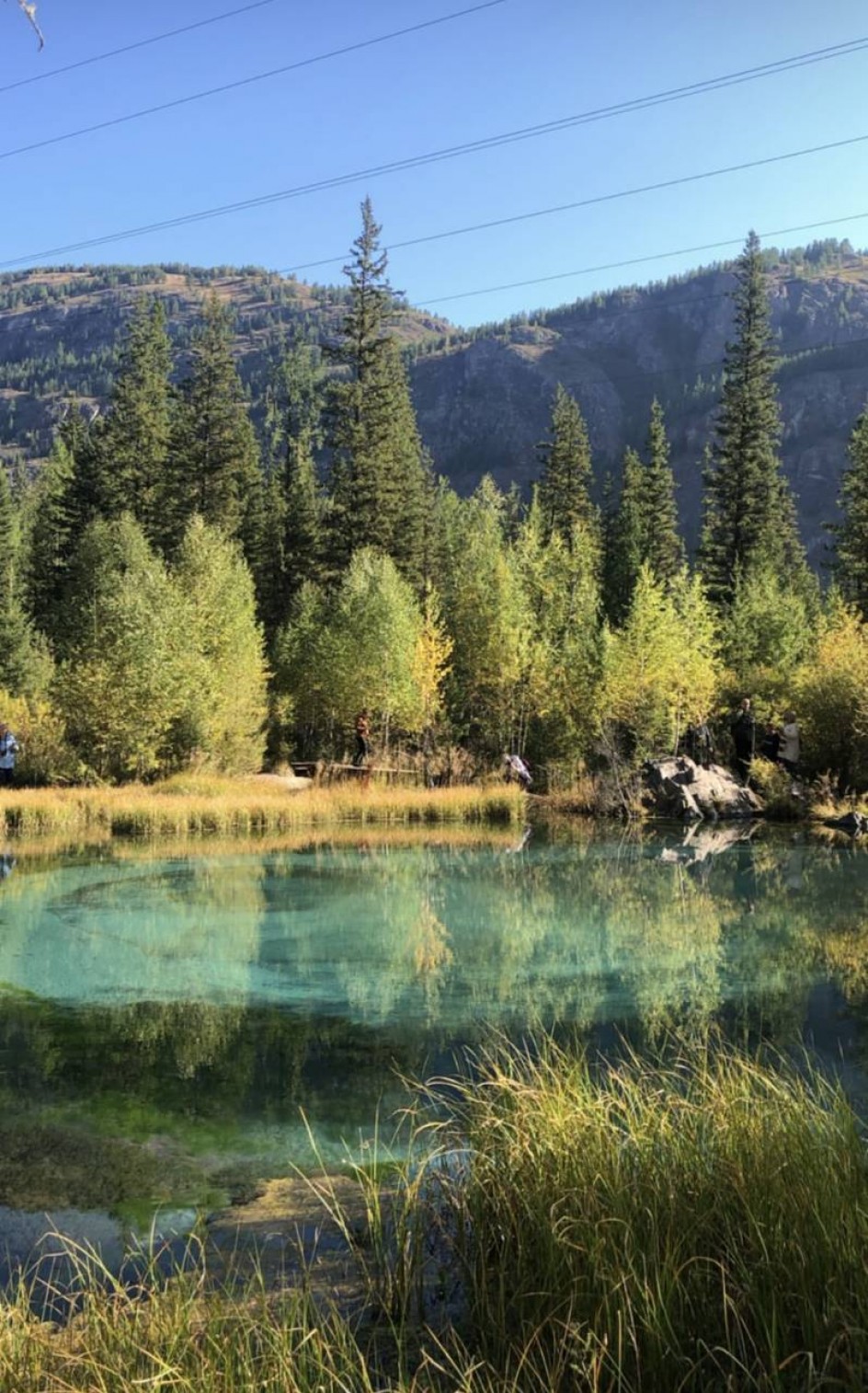 Краса осени