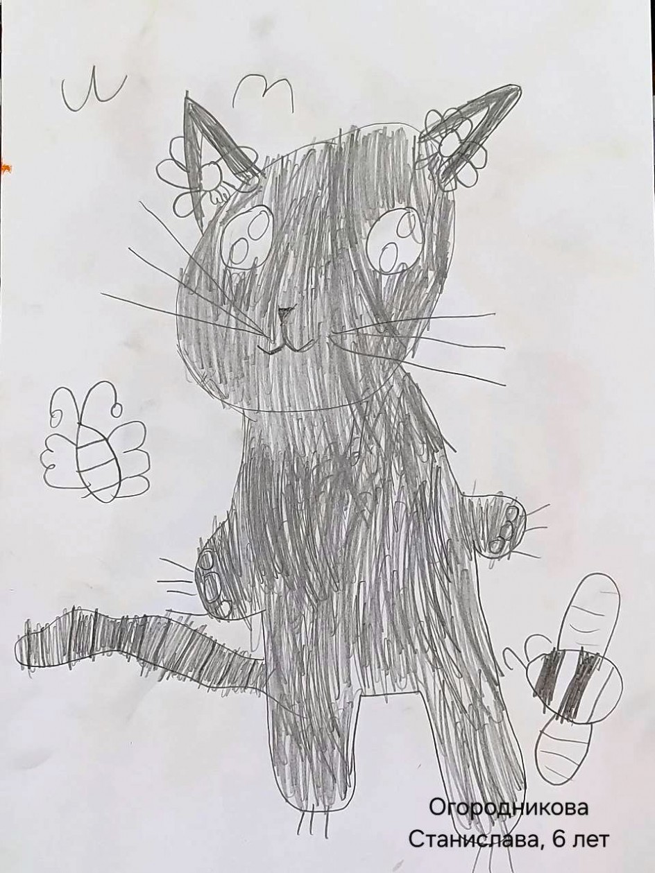 Кот на прогулке