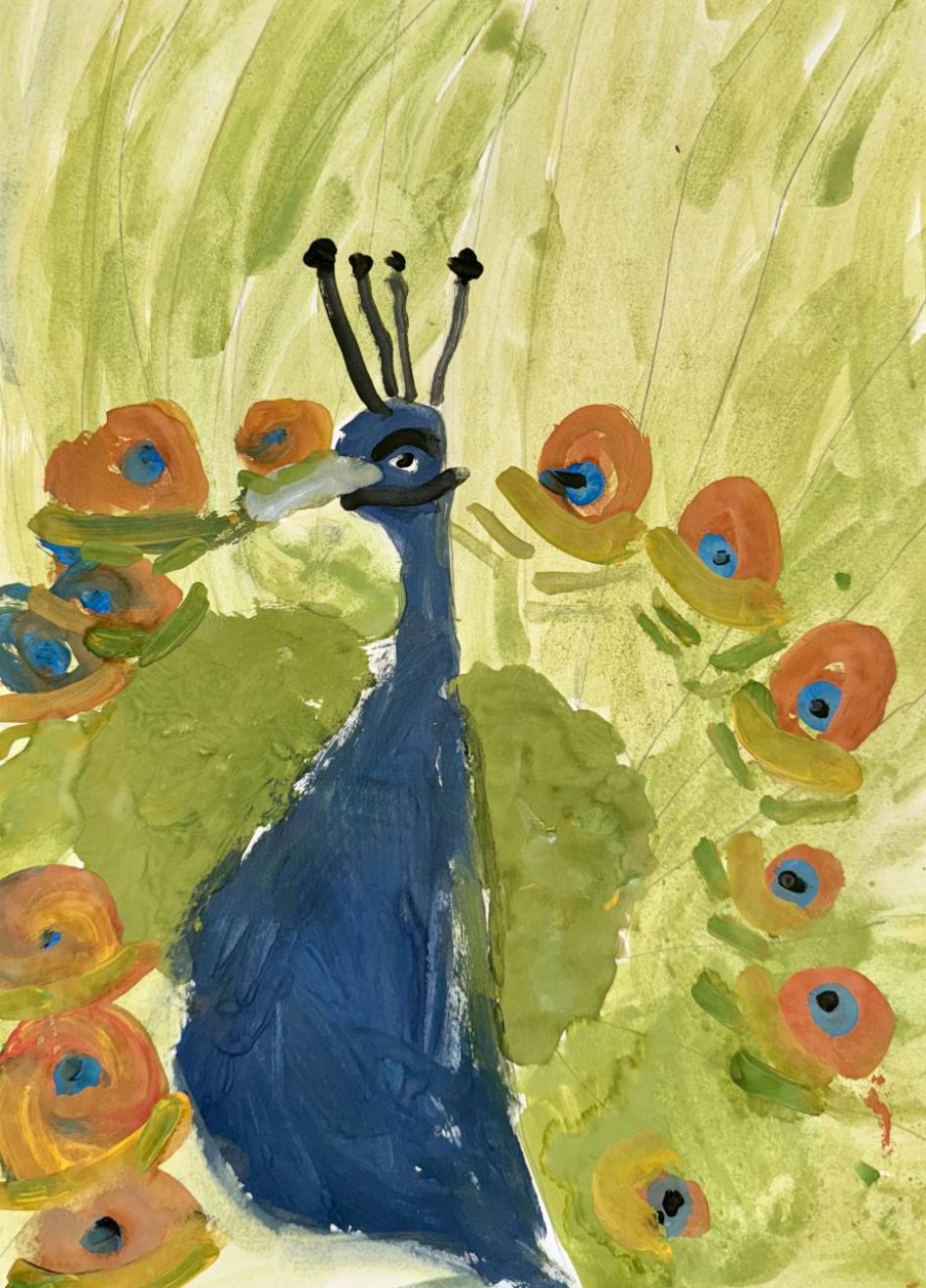 Грациозный павлин