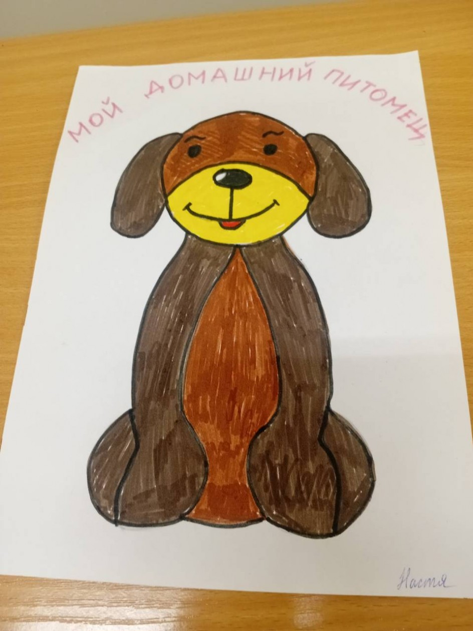 Мой любимый питомец