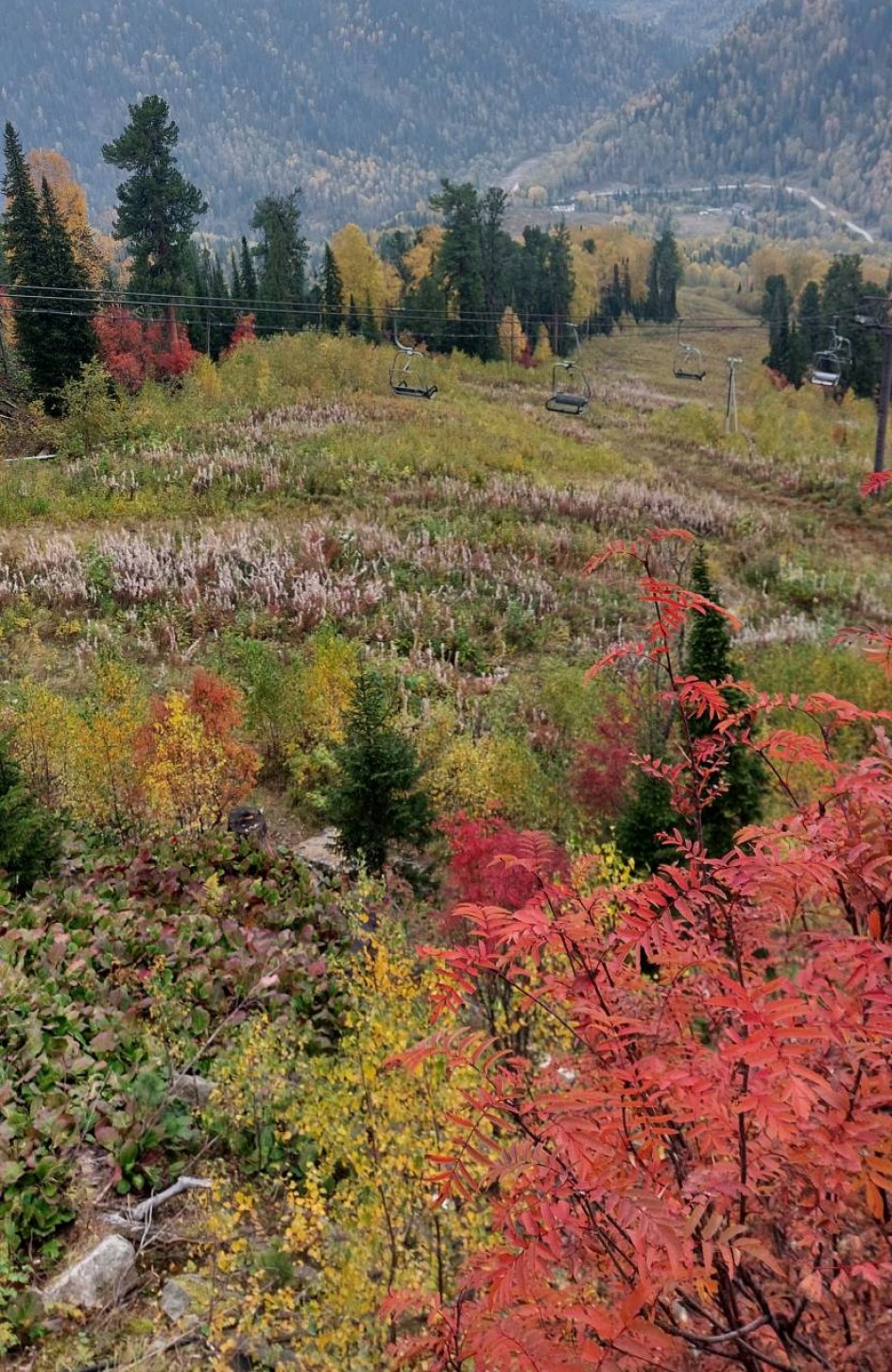 Красота осени