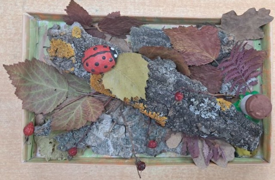 Божья коровка