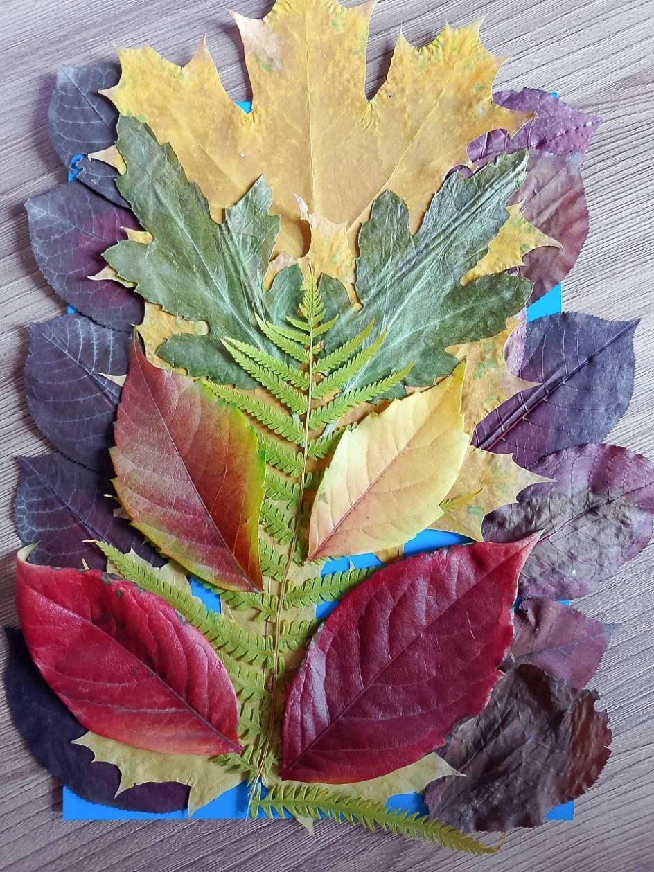 Краски золотой осени