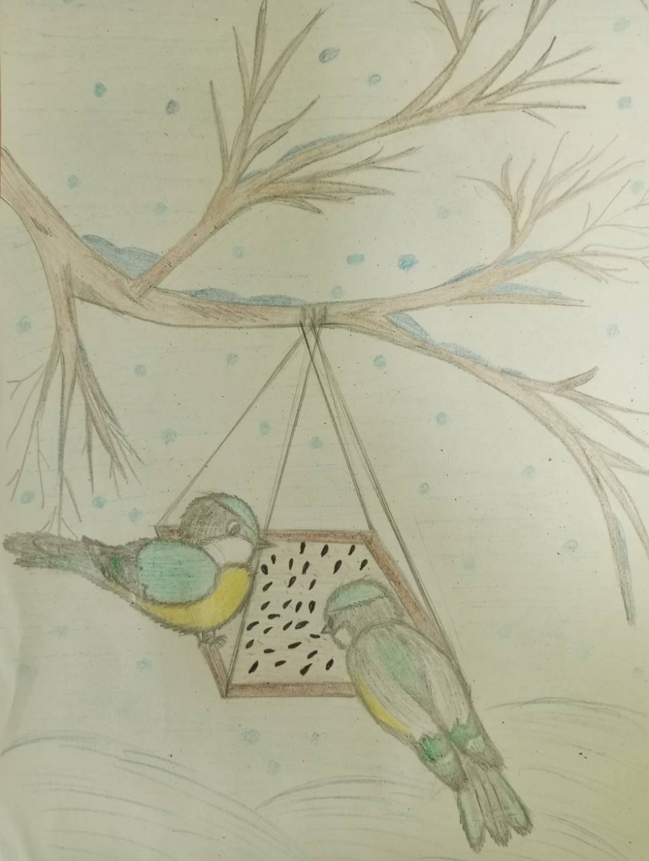 Синички-наши друзья