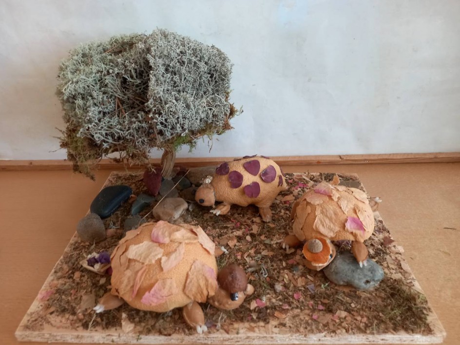 Черепашки на отдыхе