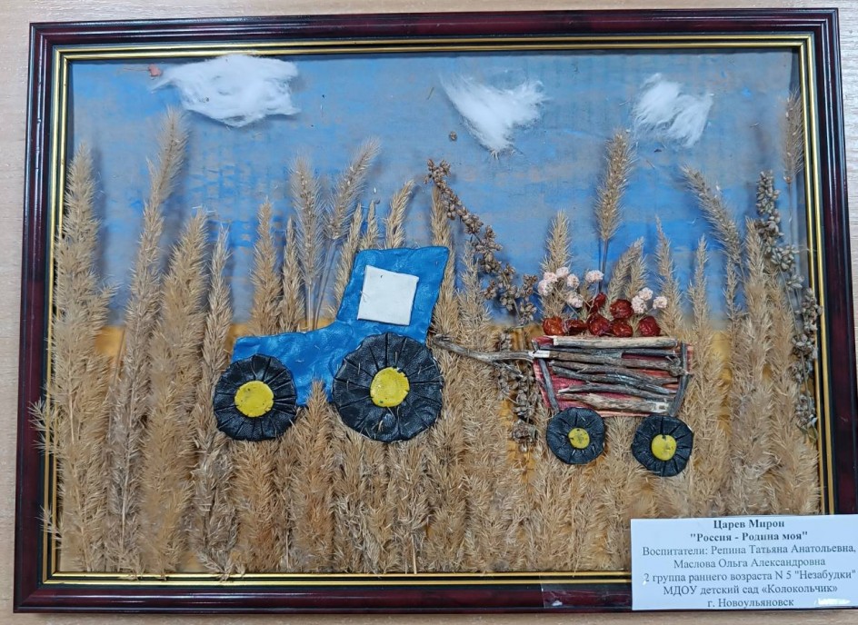 Россия-родина моя