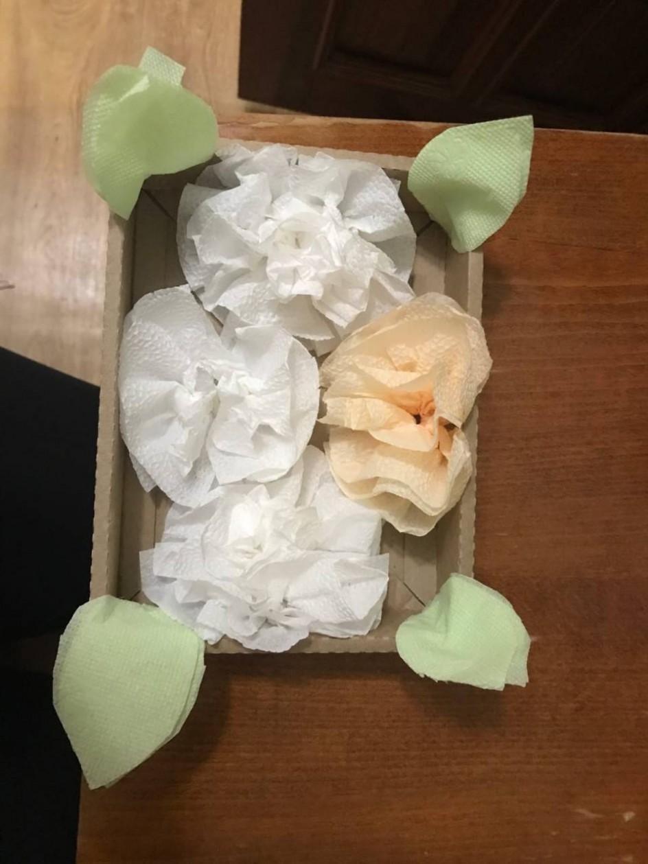 Бумажная нежность