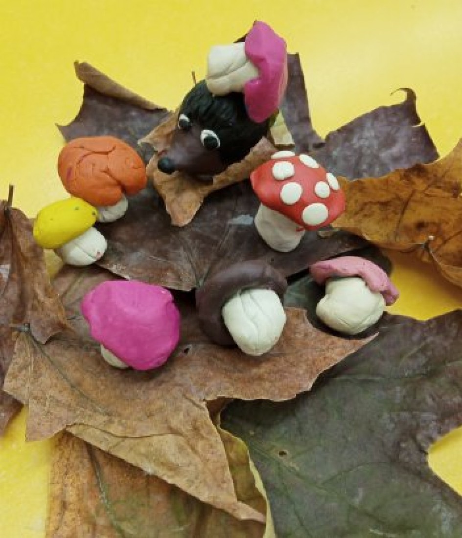 "Осенние грибы"