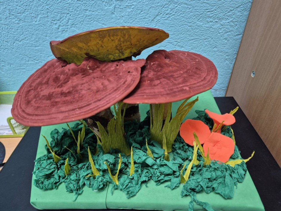 "Грибы - грибочки"