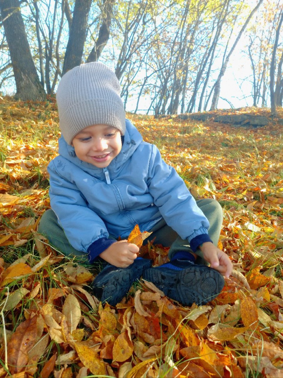 "Яркая  политра"