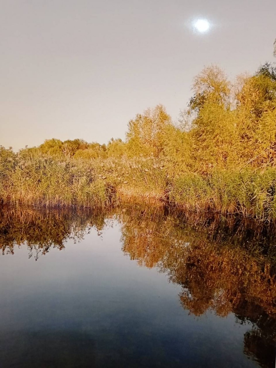 Осень на Волге