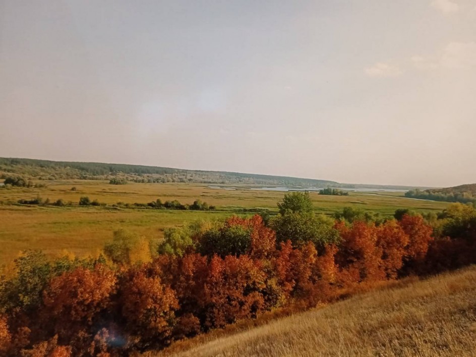 Золотая осень