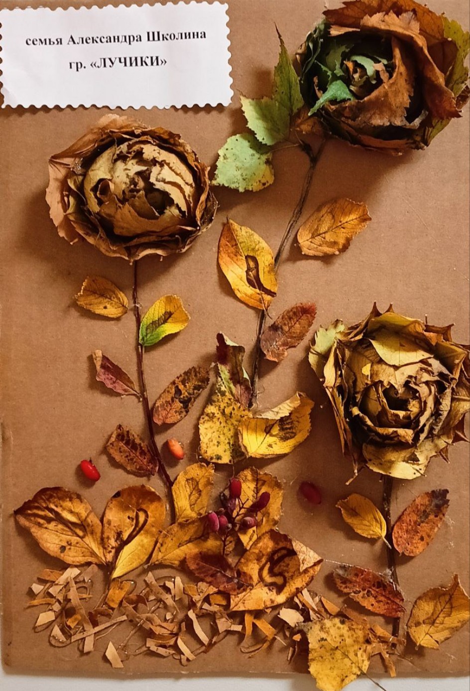 Осенние цветы