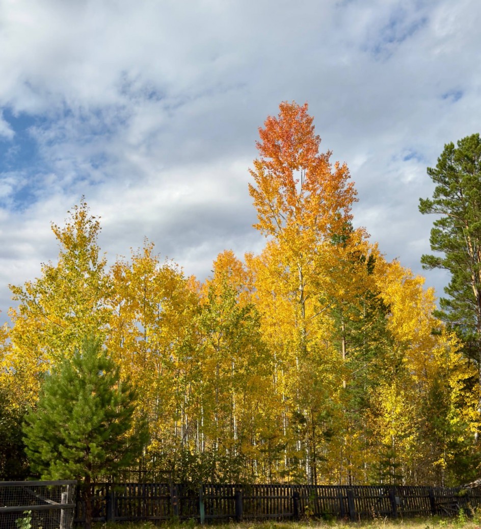 "Осенний пейзаж"