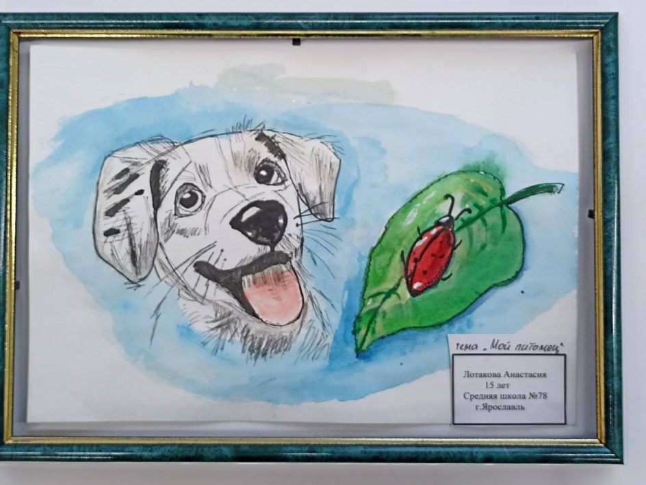 Мой питомец