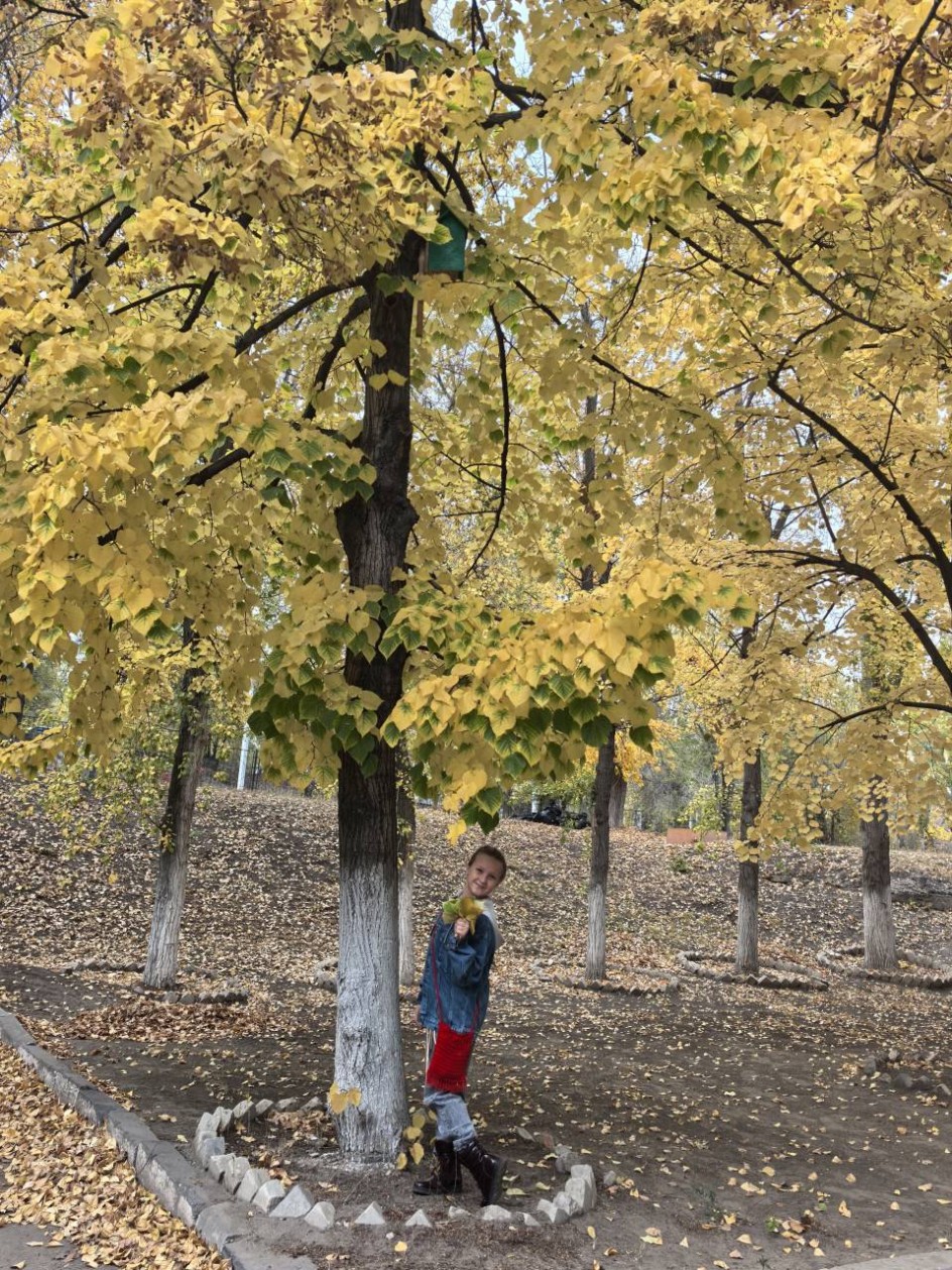 Красотка липа...