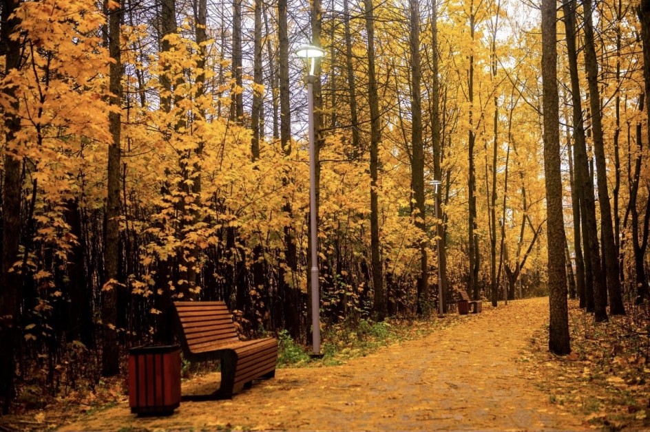 Место вдохновения