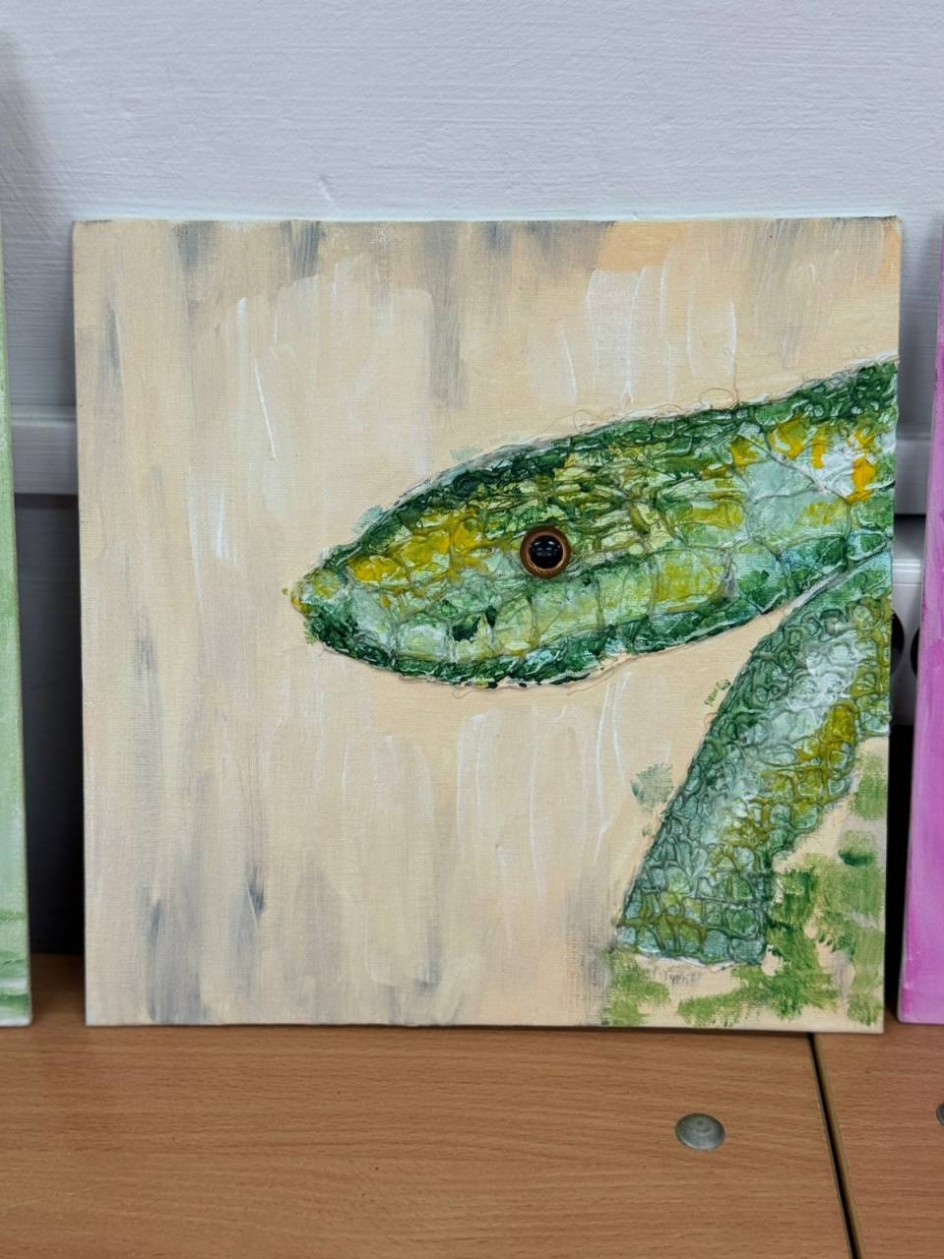 Взгляд из тени