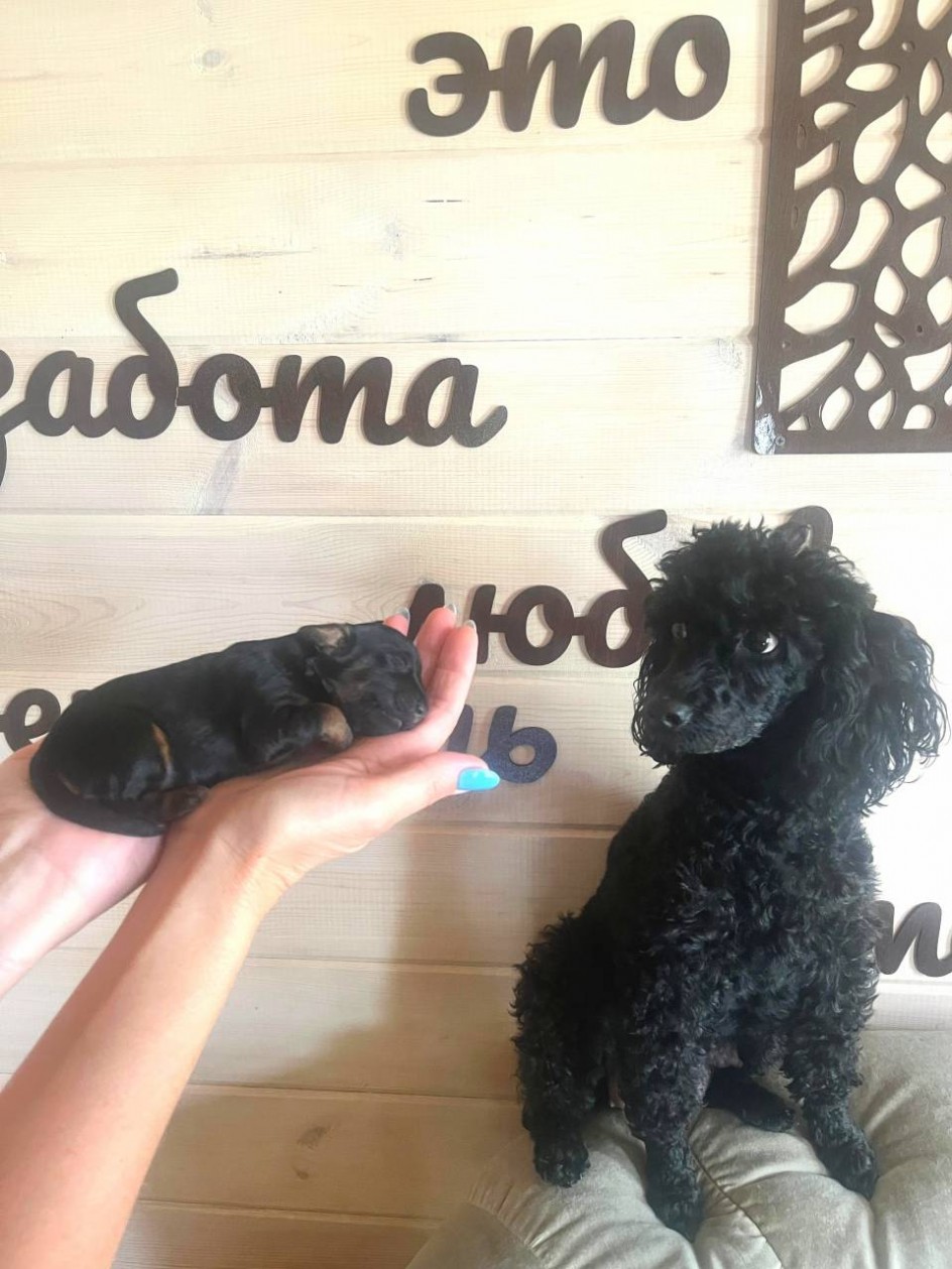 Счастливые моменты