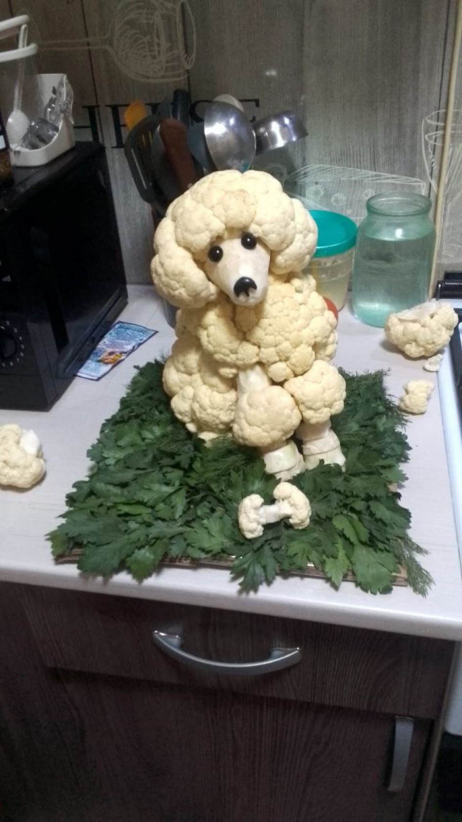 Артемон на прогулке