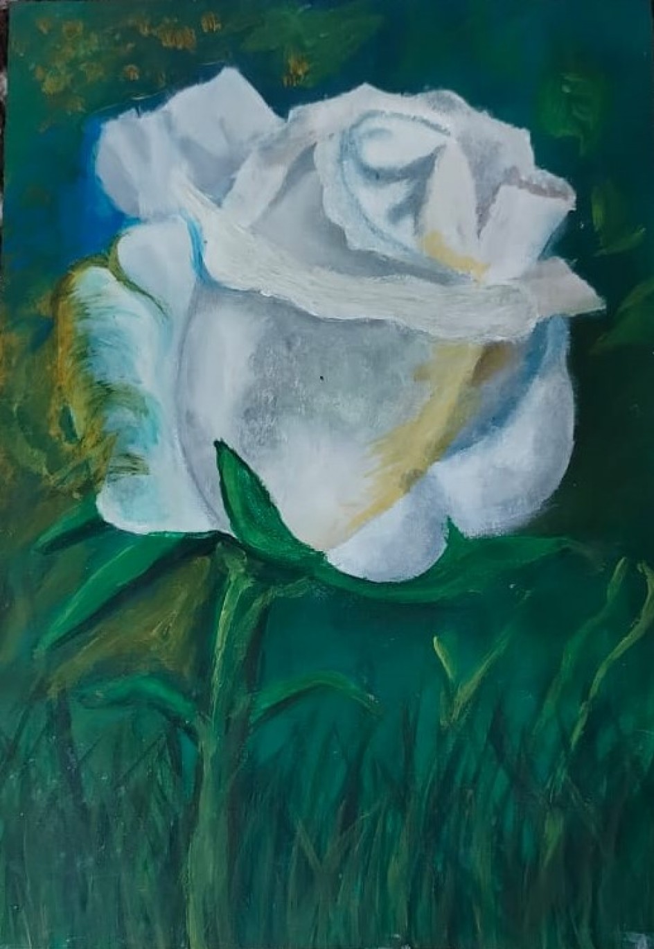 "Белая роза"