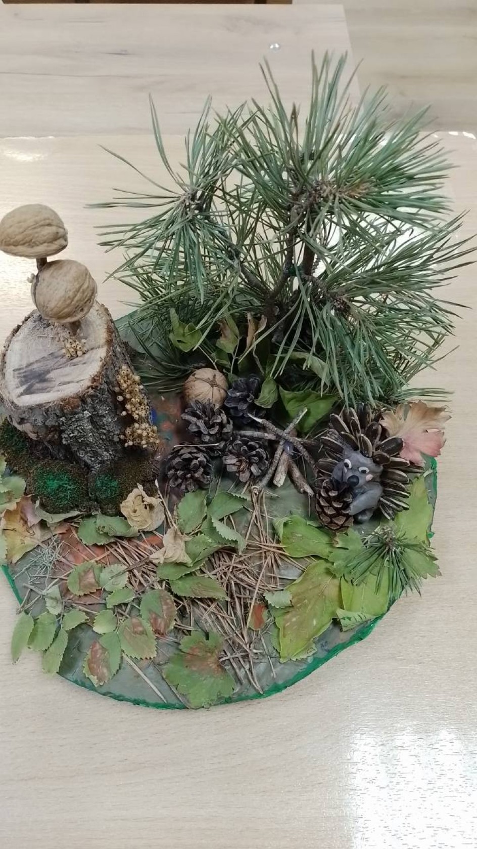 Лесная поляна