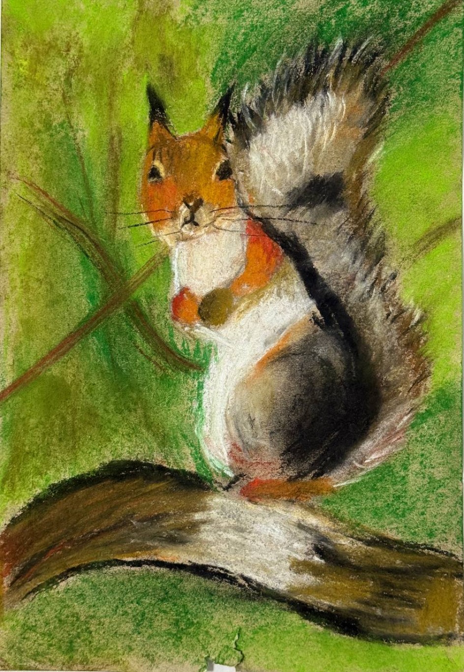 Белочка на ветке