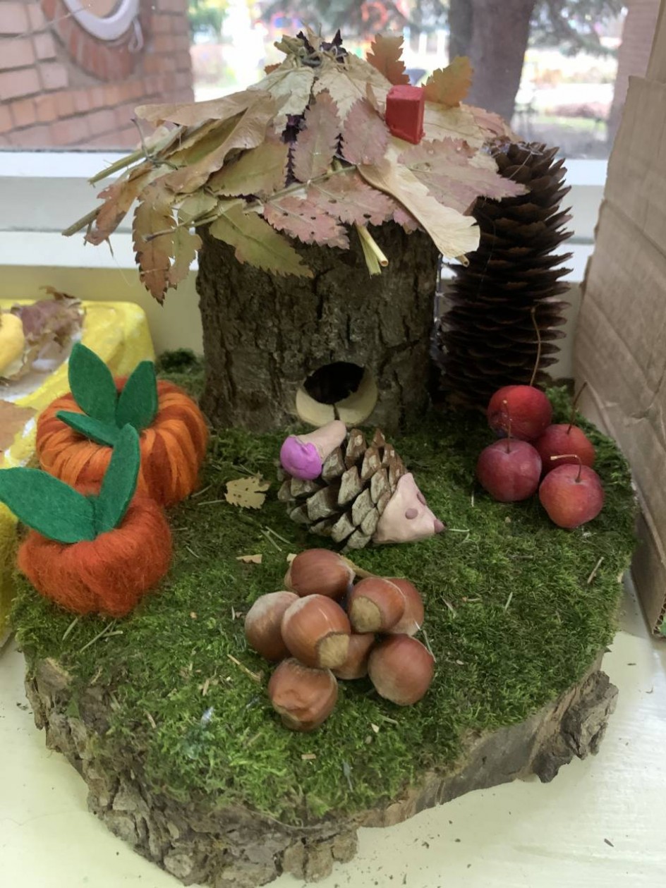 «Домик для ёжика»