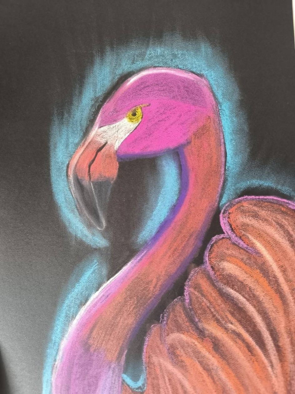 Ночной фламинго