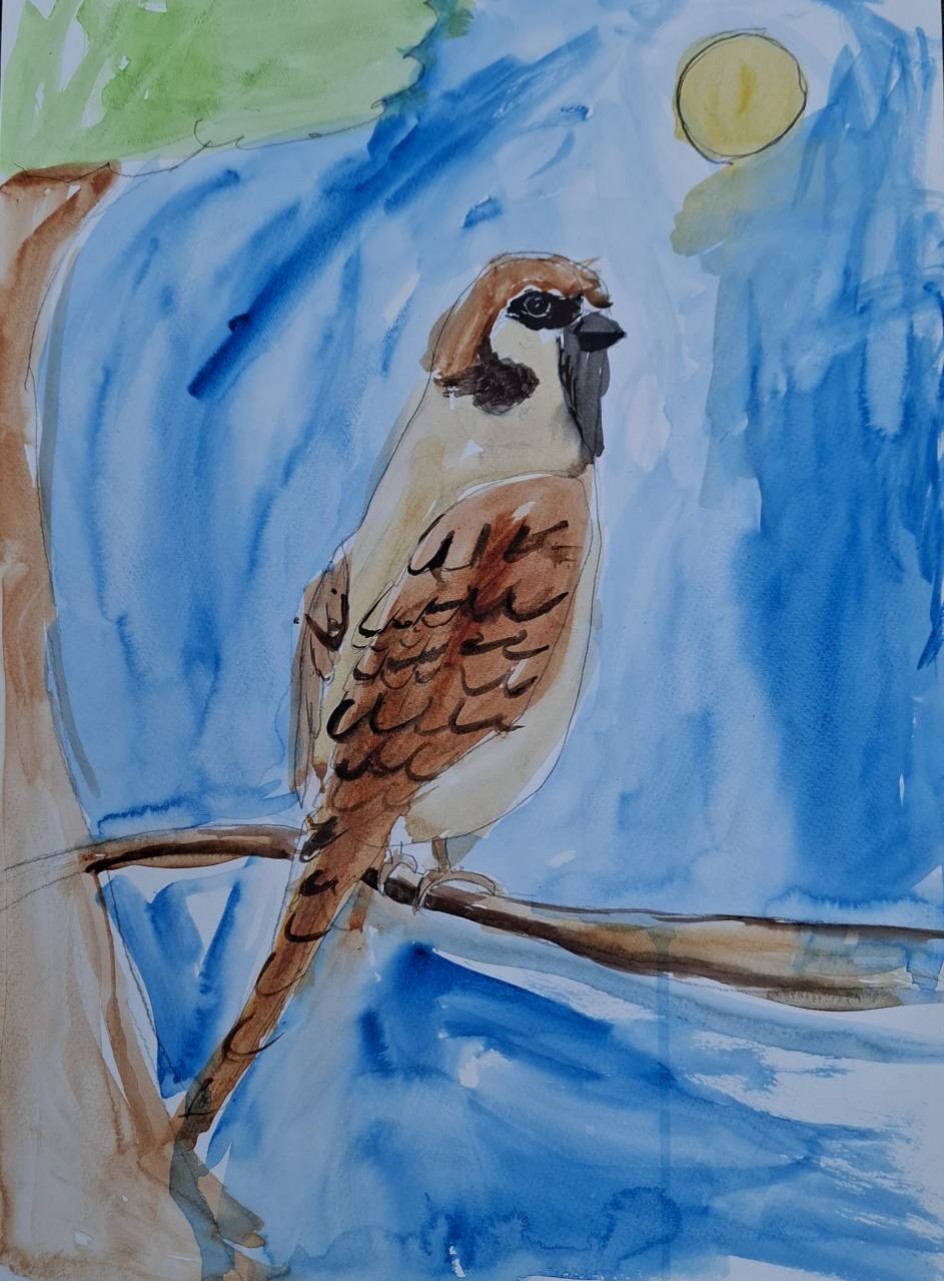 "Воробей на ветке"