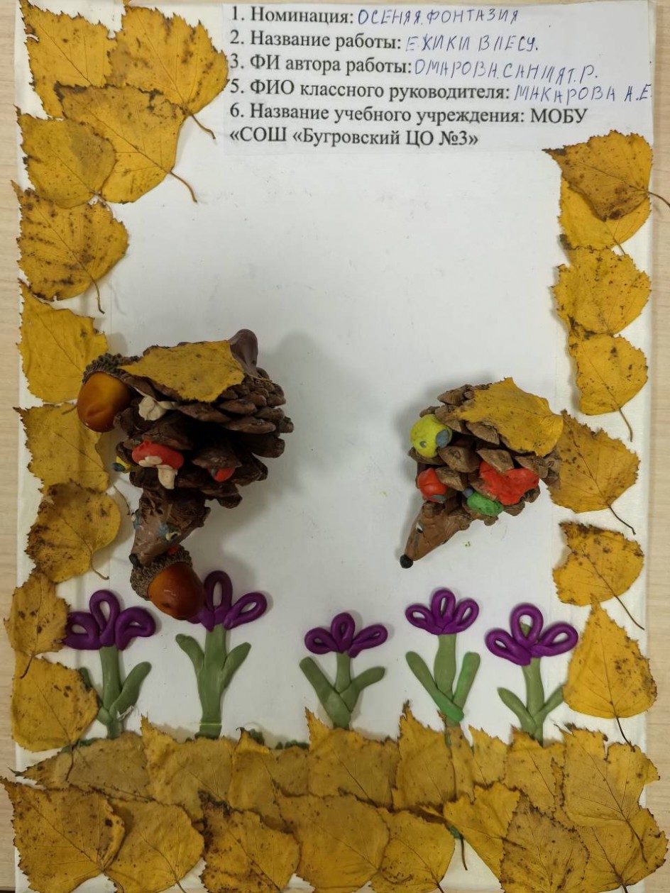 Ёжики в лесу