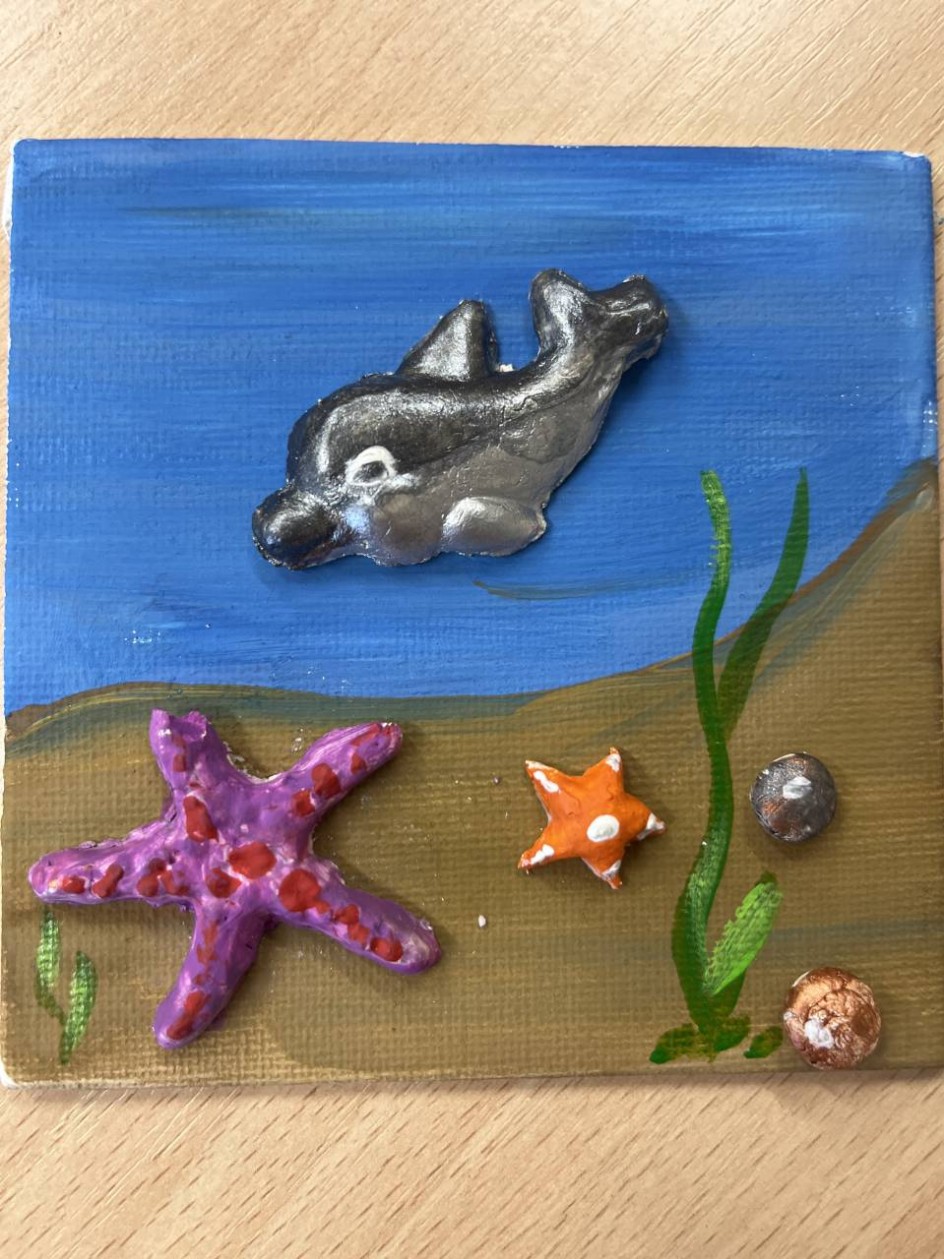 « Мой друг дельфин»