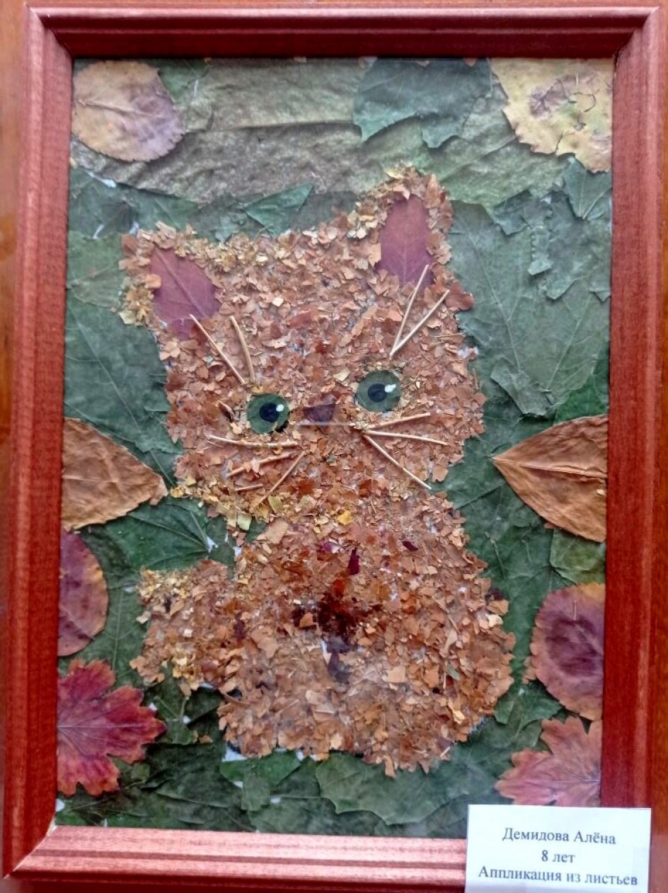 Осенний котик