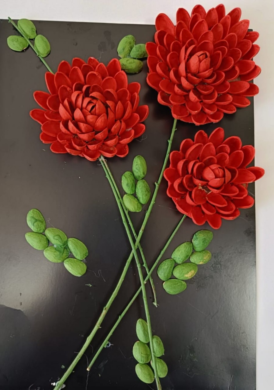 Суккулент из фисташек