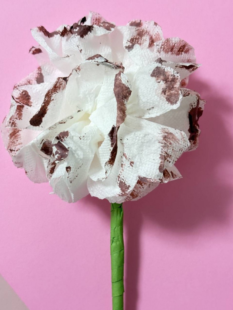 «Бумажная нежность»