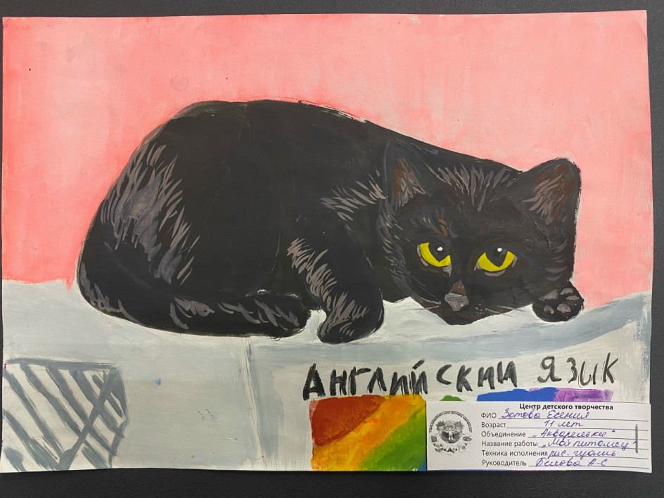 Мой питомец