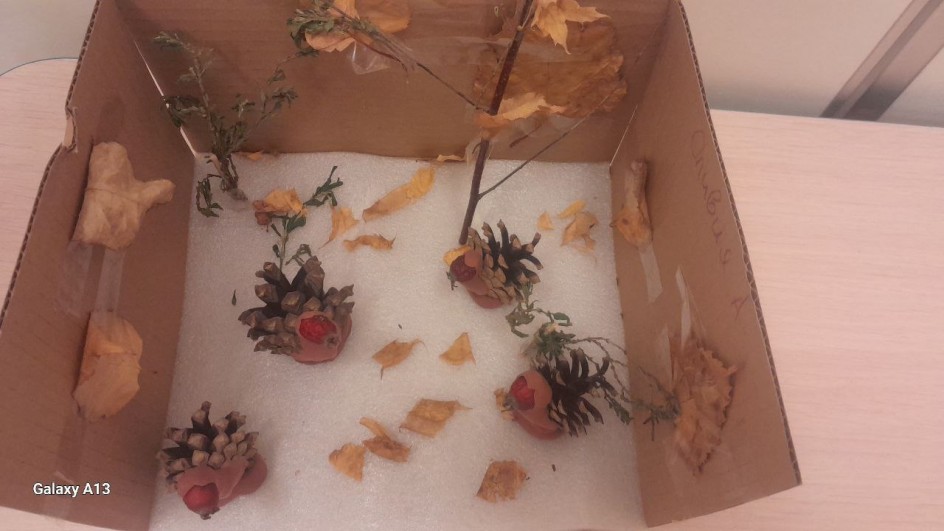 Поздней осенью в лесу.