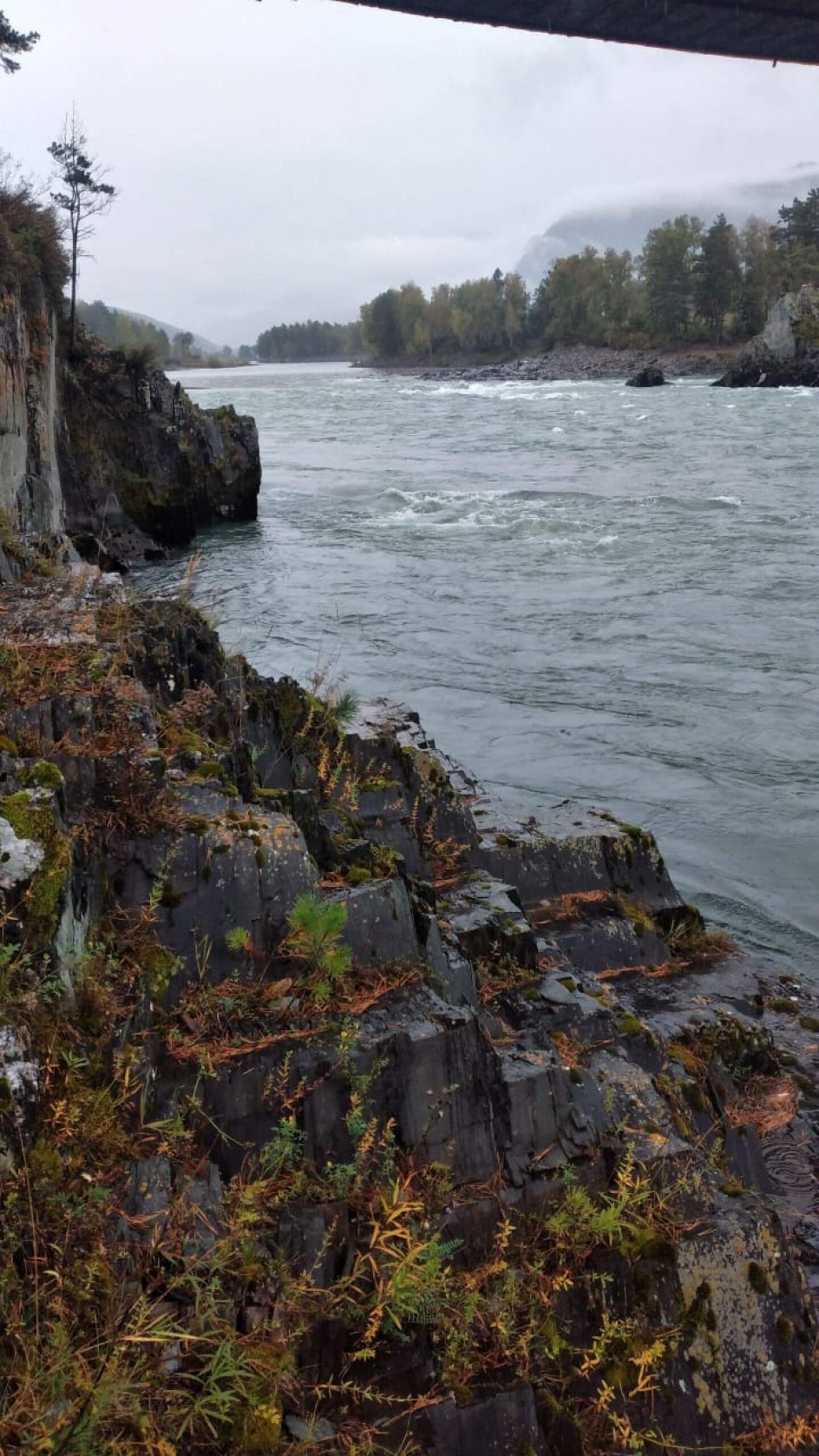 "На берегах Катуни"