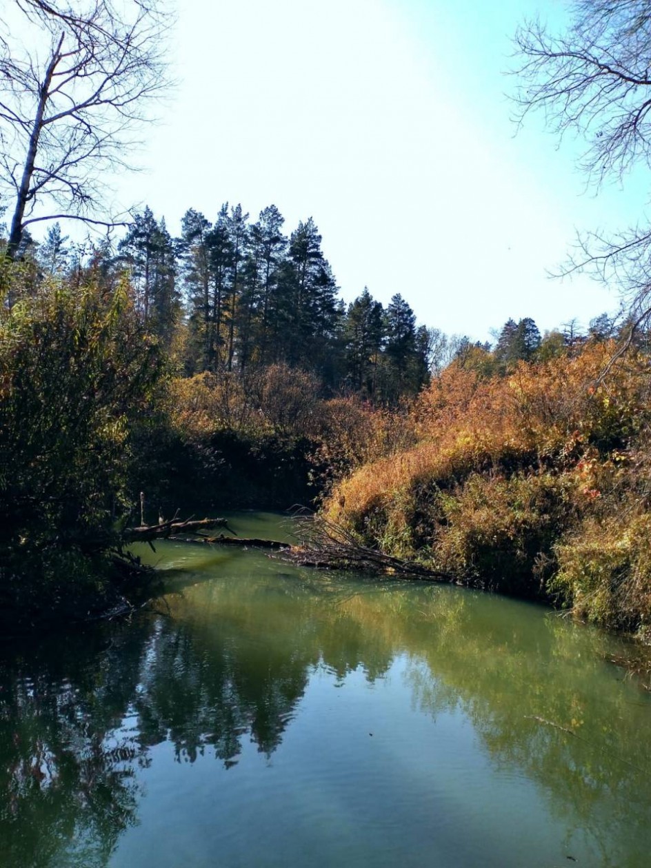 "Бобровая заводь"