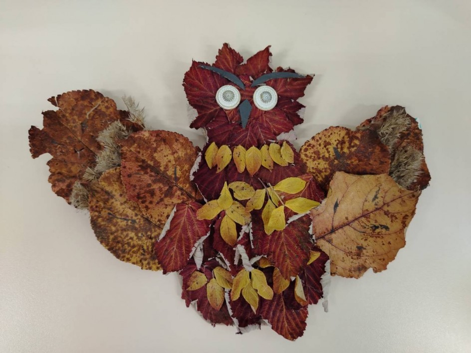 "Мудрая сова"