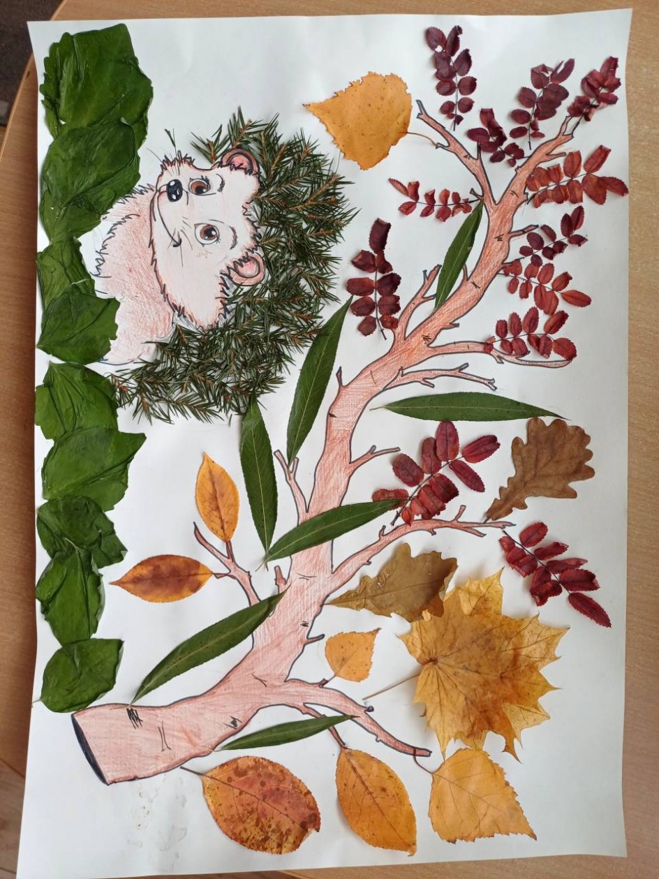 Осенний лес